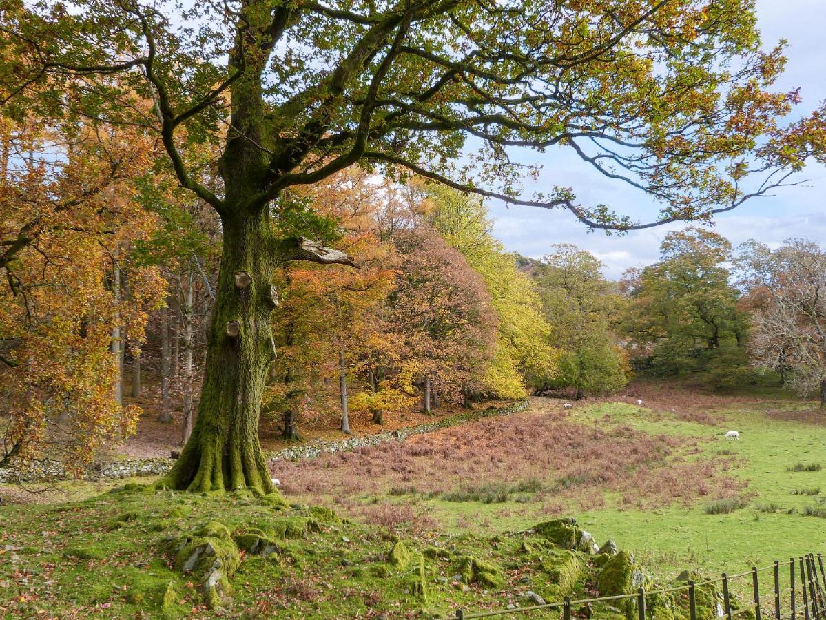 Yew - Woodland Cottages باونيس أون وينديرمير المظهر الخارجي الصورة