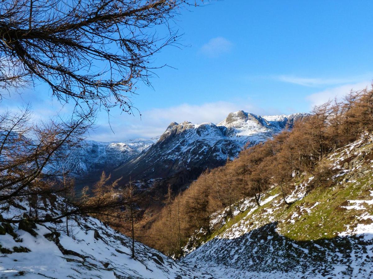 Yew - Woodland Cottages باونيس أون وينديرمير المظهر الخارجي الصورة