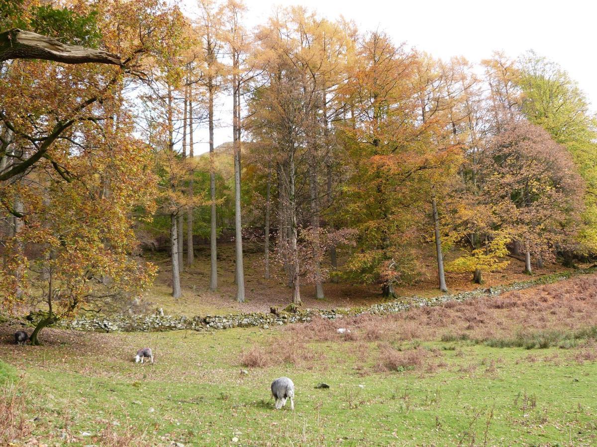 Yew - Woodland Cottages باونيس أون وينديرمير المظهر الخارجي الصورة